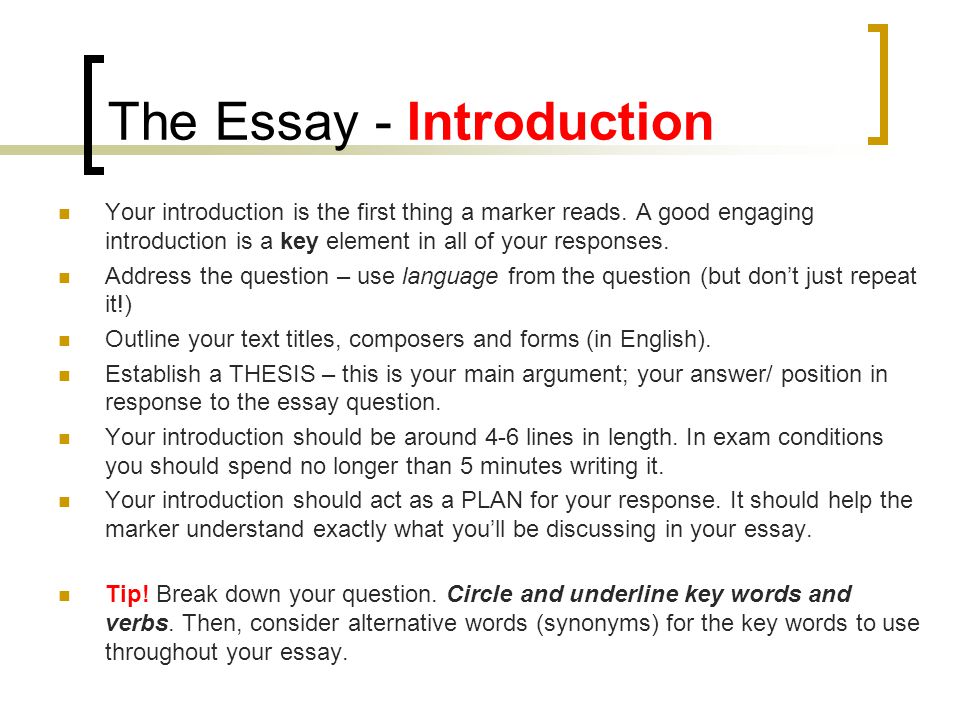 Words to use in an essay introduction